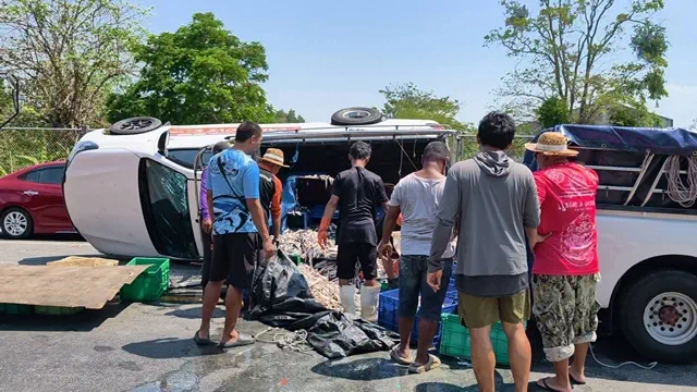 ชลบุรี-กระบะขนปลา ยางระเบิดพลิกคว่ำ ปลาเกลื่อนถนน