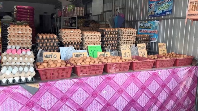 ร้านค้าส่งโคกเมา ยืนหยัดขายไข่ราคาเดิม แม้สมาคมฯ ประกาศปรับขึ้น