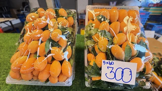 ปทุมธานี สี่มุมเมืองชี้พิกัด “มะยงชิด–มะขามเทศ” ผลไม้หน้าร้อนราคาดี ส่งตรงจากสวน