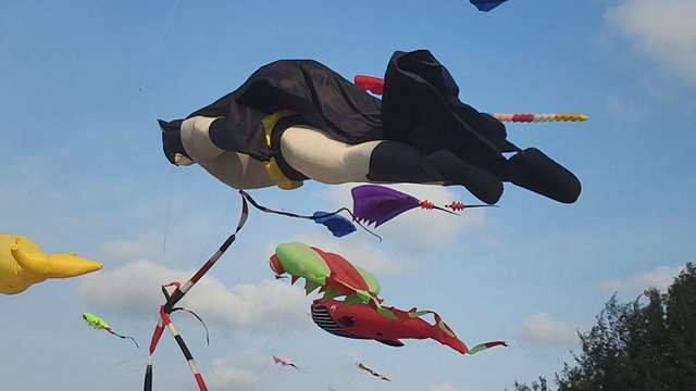 สงขลา-เทศกาลว่าวริมหาดสมิหลา สุดคึกคัก นักท่องเที่ยวมาเลเซียแห่ชม เด็กๆ แห่เล่นว่าวห่างจอโทรศัพท์ ขณะที่หลายคนแห่ซื้อว่าวหลากหลายชนิด