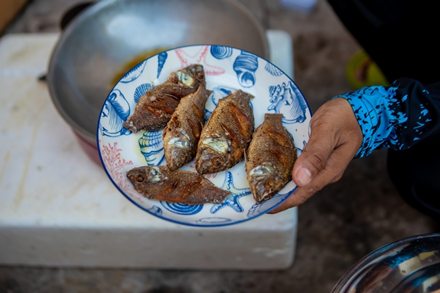 ชลบุรี-หนุ่มทอดแห ได้ปลาหมอคางดำ 15 กิโล จัดเมนูโชว์สด บอก อร่อยเหมือนปลานิล
