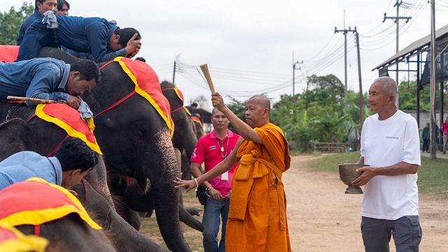 “สัญญาณแห่งความอุดมสมบูรณ์! สวนนงนุชพัทยาต้อนรับ ‘พังฟ้ารุ่ง’ ลูกช้างเชือกที่ 2 ใน 1 เดือน”