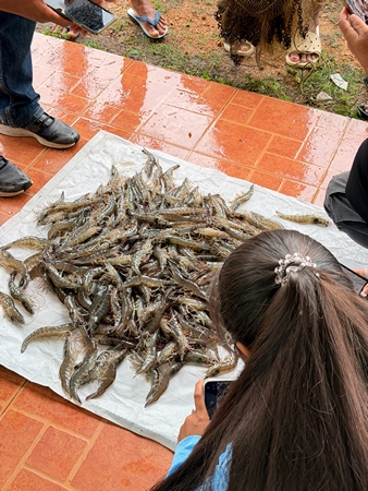 อุปนายกสมาคมกุ้งไทยร้อง สว.สายสื่อมวลชน วอนอนุทิน เร่ง เจรจา กับมาเลเซีย ก่อนเกษตรกรจะสูญเสียตลาดกุ้งในมาเลเซียปีละ 4,000 ล้านให้กับประเทศอื่น