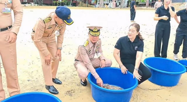 สอ.รฝ. ร่วมรำลึก “วันเต่าทะเลโลก 2569” (World Sea Turtle Day 2026) มุ่งมั่นอนุรักษ์เพื่อนร่วมโลกทางทะเล