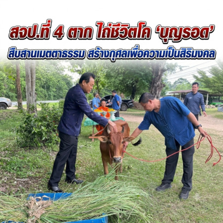 ตาก-สจป.ที่ 4 ตาก ไถ่ชีวิตโค “บุญรอด” สืบสานเมตตาธรรม สร้างกุศลเพื่อความเป็นสิริมงคล
