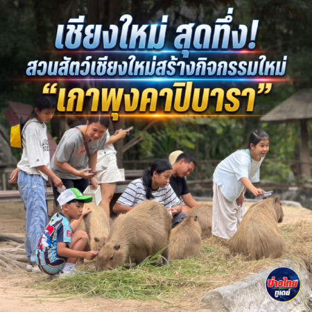 เชียงใหม่-สุดทึ่ง! สวนสัตว์เชียงใหม่สร้างกิจกรรมใหม่ “เกาพุงคาปิบารา” สร้างความสุข อบอุ่นทั้งคนและสัตว์ นักท่องเที่ยวหนาแน่นช่วงหยุดยาว3วัน