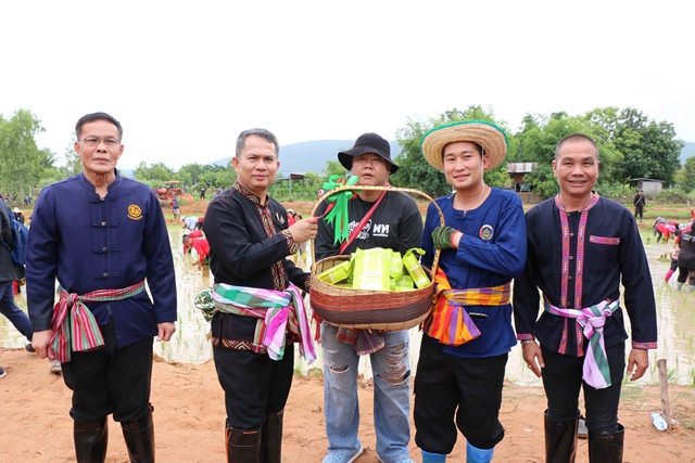 กาฬสินธุ์ คืนชีวิตข้าวเหนียวเขาวง GI เกษตรมูลค่าสูงอร่อยที่สุดในโลก