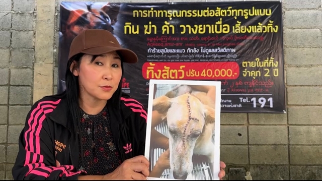 สงขลา-เดอะโฮปสงขลา ขอบพระคุณพลังธารน้ำใจช่วย “น้องเมโล” พร้อมอัปเดตอาการล่าสุดหลังผ่าตัด