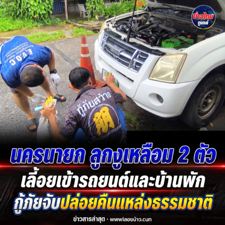 นครนายก ลูกงูเหลือม 2 ตัวเลี้อยเข้ารถยนต์และบ้านพักกู้ภัยจับปล่อยคืนแหล่งธรรมชาติ