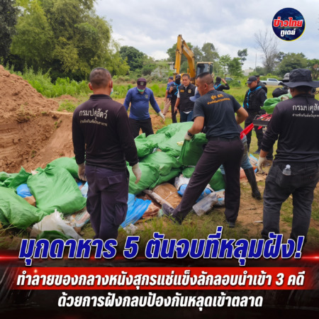 มุกดาหาร 5 ตันจบที่หลุมฝัง! ทำลายของกลางหนังสุกรแช่แข็งลักลอบนำเข้า 3 คดี ด้วยการฝังกลบป้องกันหลุดเข้าตลาด