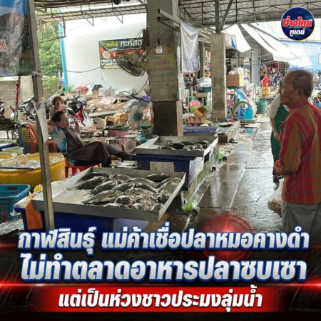กาฬสินธุ์-แม่ค้าเชื่อปลาหมอคางดำไม่ทำตลาดอาหารปลาซบเซา แต่เป็นห่วงชาวประมงลุ่มน้ำ ขณะประมงลุยเก็บตัวอย่าง เผยข้อสังเกตตระเวนทั่วเขื่อนแต่พบเพียงจุดเดียวจากอินฟูคนเดิม