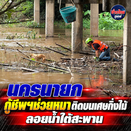 นครนายก กู้ชีพฯช่วยหมาติดบนเศษกิ่งไม้ลอยน้ำใต้สะพาน