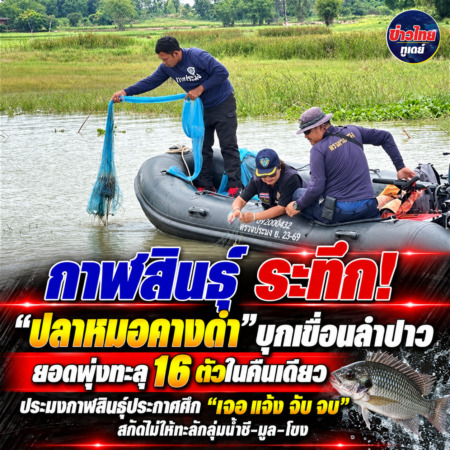 กาฬสินธุ์-ระทึก! “ปลาหมอคางดำ” บุกเขื่อนลำปาว ยอดพุ่งทะลุ 16 ตัวในคืนเดียว ประมงกาฬสินธุ์ประกาศศึก “เจอ แจ้ง จับ จบ” สกัดไม่ให้ทะลักลุ่มน้ำชี-มูล-โขง