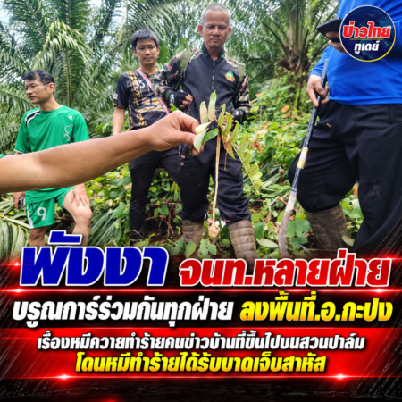พังงา- จนท.หลายฝ่ายบรูณการ์ร่วมกันทุกฝ่าย ลงพื้นที่.อ.กะปง เรื่องหมีควายทำร้ายคนข่าวบ้านที่ขึ้นไปบนสวนปาล์มโดนหมีทำร้ายได้รับบาดเจ็บสาหัส