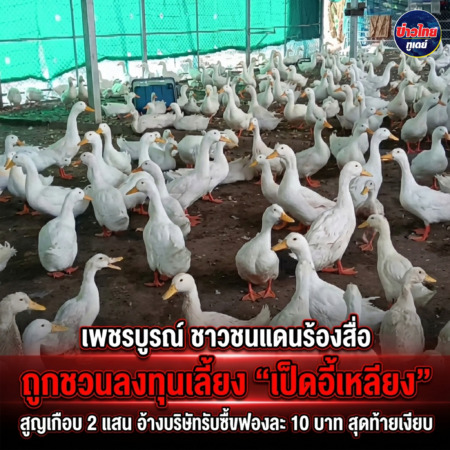 เพชรบูรณ์-ชาวชนแดนร้องสื่อ ถูกชวนลงทุนเลี้ยง “เป็ดอี้เหลียง” สูญเกือบ 2 แสน อ้างบริษัทรับซื้อไข่ฟองละ 10 บาท สุดท้ายเงียบ