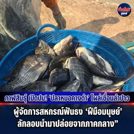 กาฬสินธุ์-เปิดปม! “ปลาหมอคางดำ” โผล่เขื่อนลำปาว ผู้จัดการสหกรณ์ฟันธง “ฝีมือมนุษย์” ลักลอบนำมาปล่อยจากภาคกลาง