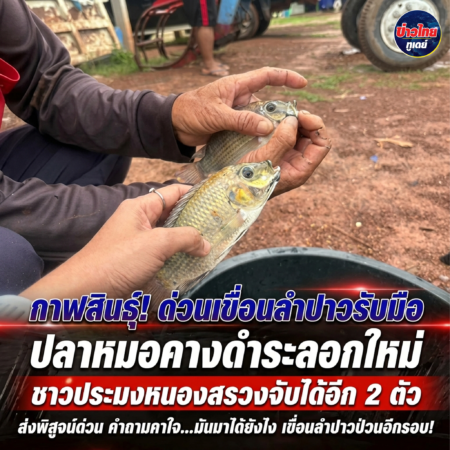 กาฬสินธุ์ ด่วนเขื่อนลำปาวรับมือปลาหมอคางดำระลอกใหม่ ชาวประมงหนองสรวงจับได้อีก 2 ตัว ส่งพิสูจน์ด่วน คำถามคาใจ…มันมาได้ยังไง