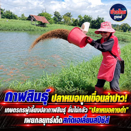 กาฬสินธุ์-ปลาหมอบุกเขื่อนลำปาว! เกษตรกรผู้เลี้ยงปลากาฬสินธุ์ ลั่นไม่กลัว “ปลาหมอคางดำ” เผยกลยุทธ์เด็ดสกัดเอเลี่ยนสปีชีส์