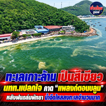 ทะเลเกาะล้านเป็นสีเขียว นทท.แปลกใจ คาด “แพลงก์ตอนบลูม” หลังฝนถล่มพัทยา น้ำจืดไหลลงทะเลจำนวนมาก